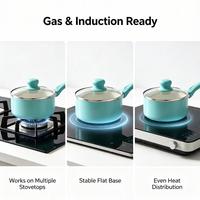 Casserole en aluminium antiadhésive avec couvercle en verre et poignée en silicone, petite casserole écologique compatible avec les cuisinières à gaz et à induction