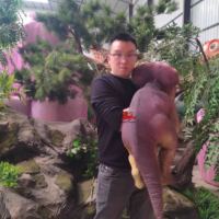 Küçük Animatronic dinozorlar kukla t-rex bebek Dino kukla