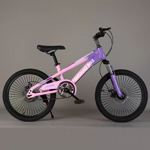 Vélo pour adolescents au design tendance avec selle réglable pour garçons et filles, vélo durable pour jeunes, vente chaude en Amérique du Sud - Product Image 6