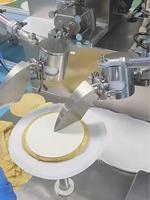Machine à Mille-Feuilles Standard Mondiale, Qualité Alimentaire SUS304