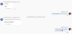 Tự nhiên gà lôi lông Ribbon rìa cho nam giới của phụ nữ Fedora <span class=keywords><strong>Hat</strong></span> lông <span class=keywords><strong>hat</strong></span> ban nhạc may TRIM rửa mẫu tóc phụ kiện - Product Image 5