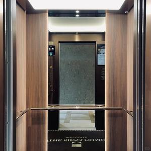 Ascenseurs résidentiels hydrauliques sans gaine OTIS Modern2-5 étages, ascenseur pour maison, villa, ascenseur pour passagers, ascenseur pour la maison - Product Image 2