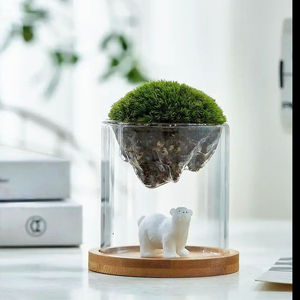 Vase en verre Guanshan Cup pour paysage miniature en mousse, ornement de bureau, cadeau créatif pour événements - Product Image 5