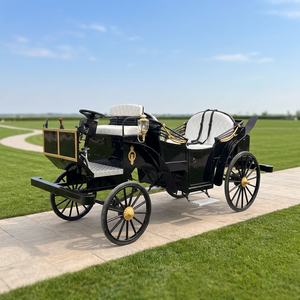 Carruajes Reales al por Mayor a Precio de Fábrica, Carruaje Eléctrico sin Caballos de Cenicienta, Carroza Turística de Princesa Xuchang en Venta - Product Image 2