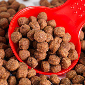 היפוקאלרגנית וטרינרית מומלץ גור מזון יבש לכבש רגישה למזון כלבים יבש - Product Image 4