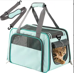 Mode durable pet schulter träger tasche faltbare kapsel transport rucksack pet träger