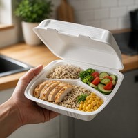 Conteneur alimentaire jetable en mousse de polystyrène PS en gros, boîte à clapet pour restaurant, boîte à emporter