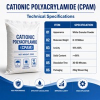Polyacrylamide Cationique pour la Déshydratation des Boues, Agent de Traitement des Eaux Usées, Floculant en Poudre Haute Efficacité, Pureté 99%, pH 5.0-7.0