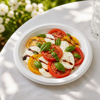 Assiette ronde personnalisée de 10 pouces en bagasse, avec matériau compostable de qualité supérieure, design écologique et recyclable