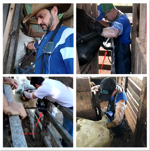 <span class=keywords><strong>Échographe</strong></span> portable à <span class=keywords><strong>prix</strong></span> d'usine pour animaux, détection de gestation, noir et blanc - Product Image 2