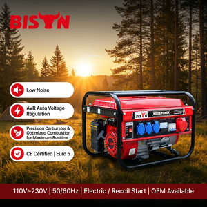 BISON(CHINA) BS8500 Single Phase <strong>Gasoline</strong> <strong>Generator</strong> 2.2kW Max 220V 50HZ/60HZ CE ISO Certified Industrial and Home Use - Product Image 5