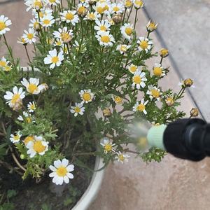 <span class=keywords><strong>Lance</strong></span> de pulvérisation électrique portable télescopique et rechargeable ILOT (chargeur USB) pour le jardinage et l'arrosage - Product Image 5