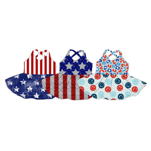 Robe plissée sans manches en soie de lait imprimée pour petites filles, idéale pour le 4 juillet, vente en gros - Product Image 1