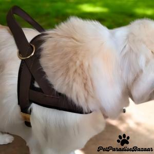 Chiot personnalisé No Pull Harnais Fournitures Accessoires pour animaux de compagnie Cadeaux pour chiens - Product Image 3