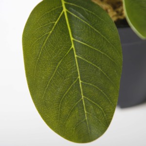 กระถางต้นไม้เทียมขนาดเล็ก15ซม. สำหรับตกแต่งห้องนั่งเล่นในร่ม - Product Image 2