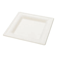 Assiette carrée jetable de haute qualité de 10 pouces plateau à gâteau cartons de bonne qualité sucre bagasse boîte à lunch jetable