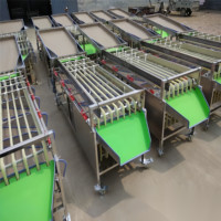 Vbjx Elektronische Avocado-Aardappel Wortel Appel Anananas Fruit Groente Grootte Sorteer-En Sorteermachine Apparatuur
