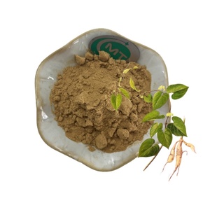 Extrait naturel de Cynanchum Wilfordii, extrait de racine pour aliments fonctionnels et compléments à base de plantes, fabriqué en usine GMP FSSC - Product Image 2