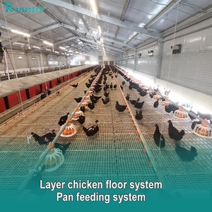 Lớp tự động gà tầng thiết bị-Nhiệm vụ nặng nề chăn nuôi gia cầm hệ thống với bộ sưu tập trứng - Product Image 4