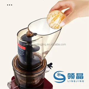 300W High Efficiency Wide Mouth Chute Auto Feeding Cold Press Pomegranates Slow Juicer For Home Use Commercial Juice Bar