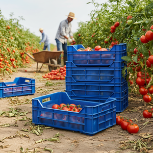 KE 910 Full Perforated Plastic <b>Crate</b> Heavy Duty Stackable Industrial Storage Agriculture Harvest Use Recyclable Foldable - Product Image 3