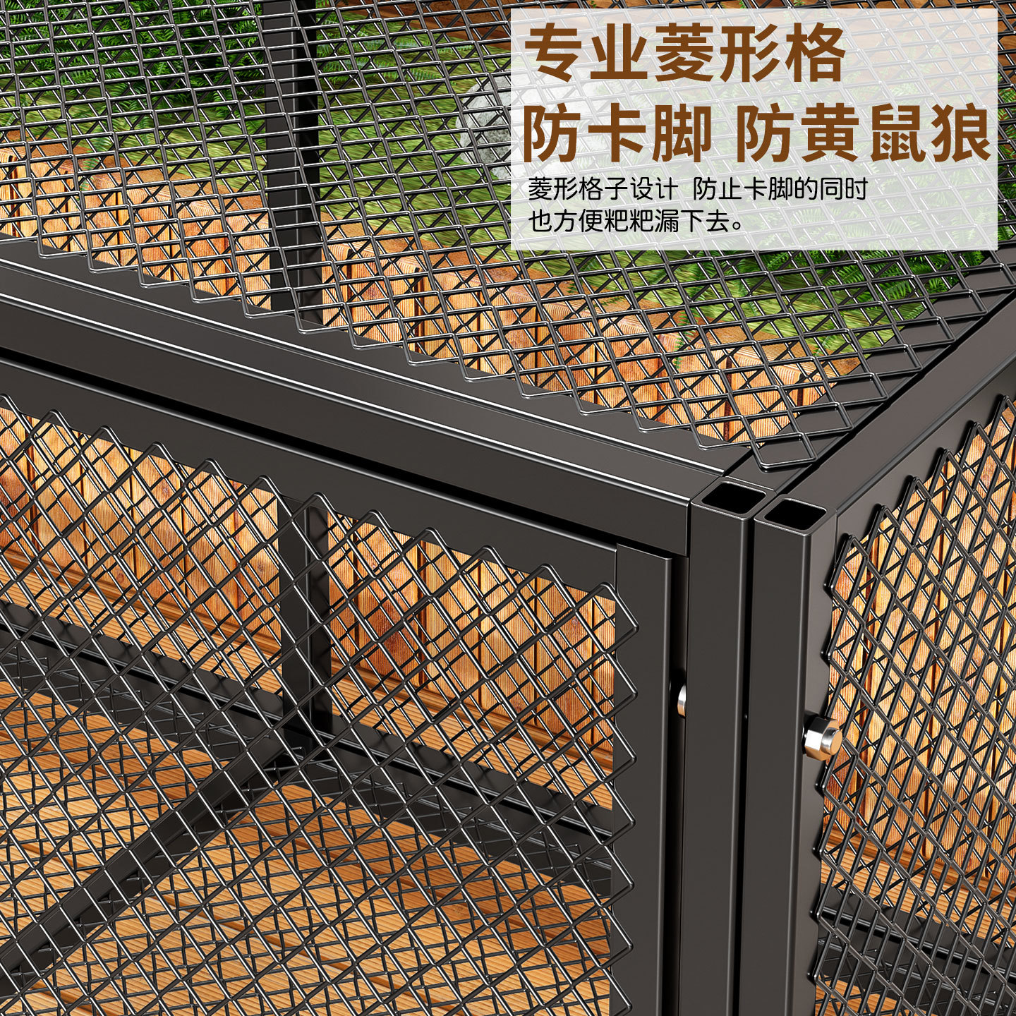 breeding cages for pigeon