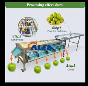 Machine de triage des fruits et légumes à faible consommation d'énergie, en acier inoxydable, pour une utilisation industrielle et agricole à long terme - Product Image 5