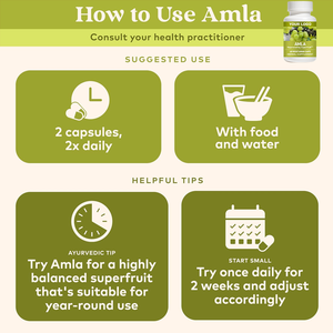 Complément alimentaire Carlyle Amla Capsules, supplément de fruit d'amla, poudre d'amla biologique pour la protection antioxydante, l'énergie et le soutien digestif - Product Image 6