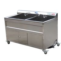 Dezoton industriële fruit- en groentewasmachine met bubbel- en ozonreiniger voor commerciële en huishoudelijke voedselverwerking