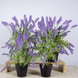 Petit Pot de Fleur Artificielle Lavande Faux Plantes en Pot Décoratif Faux Fleurs de Lavande Fleur Artificielle - Product Image 6