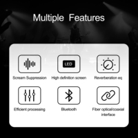 Procesador de Audio Activo para Montaje en Rack con Salida Mono, Fácil Instalación para Pequeños Eventos en Vivo, Conferencias, Sistemas de PA de Estudio