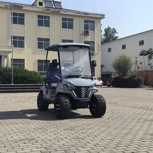 Brand New <b>12v</b> 120ah Electric Golf Cart 30-50km/h CE Certified Accessories Low MOQ Unique Design for Club Car - Product Image 2