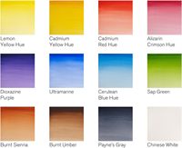 Bview Art Winsor & Newton Cotman – Kit de peinture aquarelle de voyage, 12 demi-pans avec pinceau, éponge, flacon de 2 ml et papier