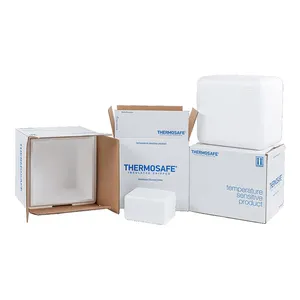 Thermo Chill kotak surat pendingin makanan beku terisolasi kotak pengiriman terisolasi Styrofoam dapat digunakan kembali dengan tutup pendingin polistiren