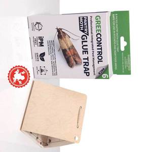 Trampa para Polillas GreeControl, Paquete de 6 Trampas de Pegamento con Tecnología de Feromonas para el Control de Polillas de la Cocina - Product Image 4