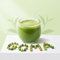 Capsules de thé vert matcha, riches en antioxydants, véganes, non-OGM, qualité thé cérémonial, capsules de thé vert matcha pur