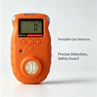 Détecteur de fuite de gaz rechargeable BX176 à prix d'usine pour la détection de fuites de gaz naturel, propane, méthane, mesure PPM ou LEL