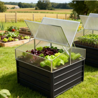 Serres surélevées en gros, prix d'usine, fond en métal avec panneau en polycarbonate, boîtes de semis de jardin, protection des plantes