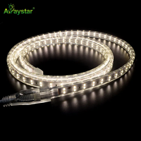 Advance haute luminosité SMD 2835 LED bande lumineuse flexible boîtier en PVC étanche 220V 230V AC bande flexible paysage télécommande