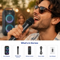 Enceinte de fête portable CSN-FL6625 double 6,5 pouces avec anneau RGB et lumière LED boule disco pour karaoké extérieur