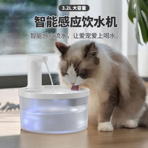 Fontaine à eau pour chat avec capteur sans fil, filtre circulant automatique, fonctionnement silencieux, pour chiens et chats - Product Image 4