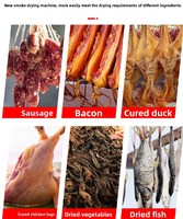 Déshydrateur alimentaire professionnel pour salami et saucisses avec fonction de fumage, pour viande de bœuf, poisson et autres aliments