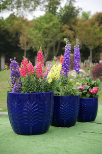 Jardinière en céramique pour rebord de fenêtre - Petit pot rond respirant pour herbes et mini-succulentes - Product Image 6