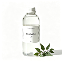 Huile Essentielle d'Eucalyptus 100% Pure et Naturelle, Extrait Végétal Biologique en Vrac, Prix de Gros Fournisseur, Qualité Industrielle