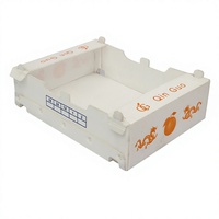 Boîte en plastique ondulé pour la conservation des produits frais, emballage agricole en plastique avec trous de ventilation pour le transport des produits frais