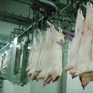 Top Quality Pig Commercial Slaughter Sow Abattoir Equipment Slaughterhouse For Hog Slaughtering