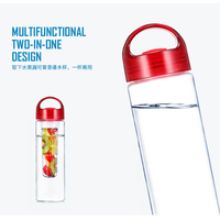 Bouteille d'eau infuseur de fruits 700 ml sans BPA, portable, pour le sport et les voyages, avec noyau de glace et logo personnalisé