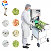 Fengxiang-rebanadora de plátano de alta eficiencia, FC-305, cortador de repollo para cortar verduras y hojas