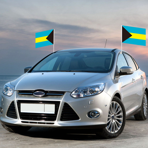 Drapeau de <span class=keywords><strong>voiture</strong></span> des Bahamas promotionnel de taille personnalisée 12x18 Drapeau de fenêtre de <span class=keywords><strong>voiture</strong></span> en polyester personnalisé avec tige en plastique - Product Image 4