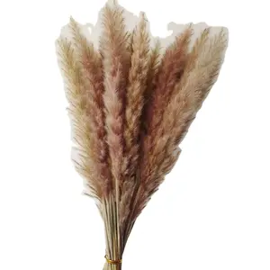vasos de caudas de coelho Suppliers-Grama de pampas seca 60 peças, boho decoração de casa, arranjos de flores secas grama branca e natural de pampas, palhetas de coelho